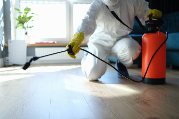 Trusted Sewage Cleanup service in Homerville, OH - Four Month Blood Cleanse